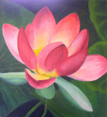 Lotus - Blumenbild