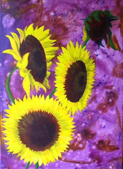 Sonnenblumen-Bild
